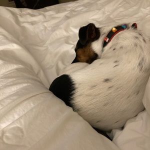 Meet your Posher, Adeena